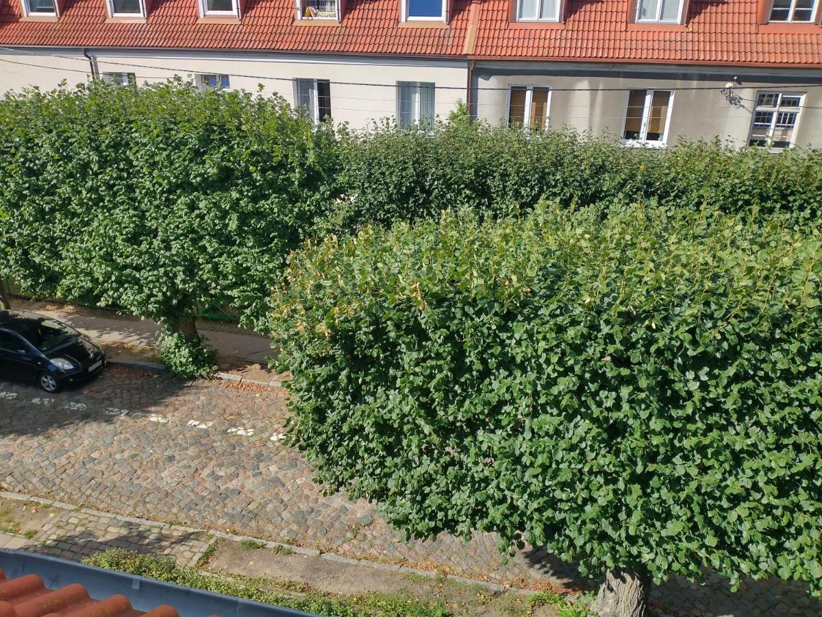 Leilighet Stara Oliwa Gdańsk
